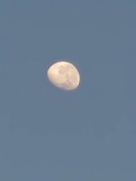 20231102_061113_1000008074_1698876676.jpg