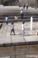 1699198792250.gif