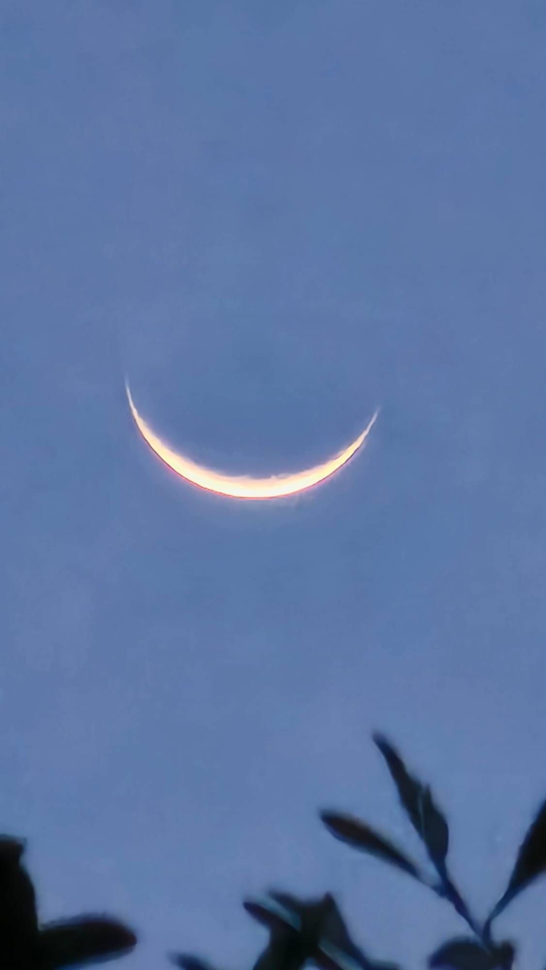 Zoom s23 ultra Lua - Samsung Members