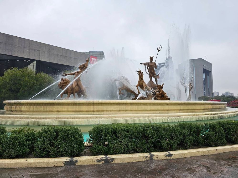 image image