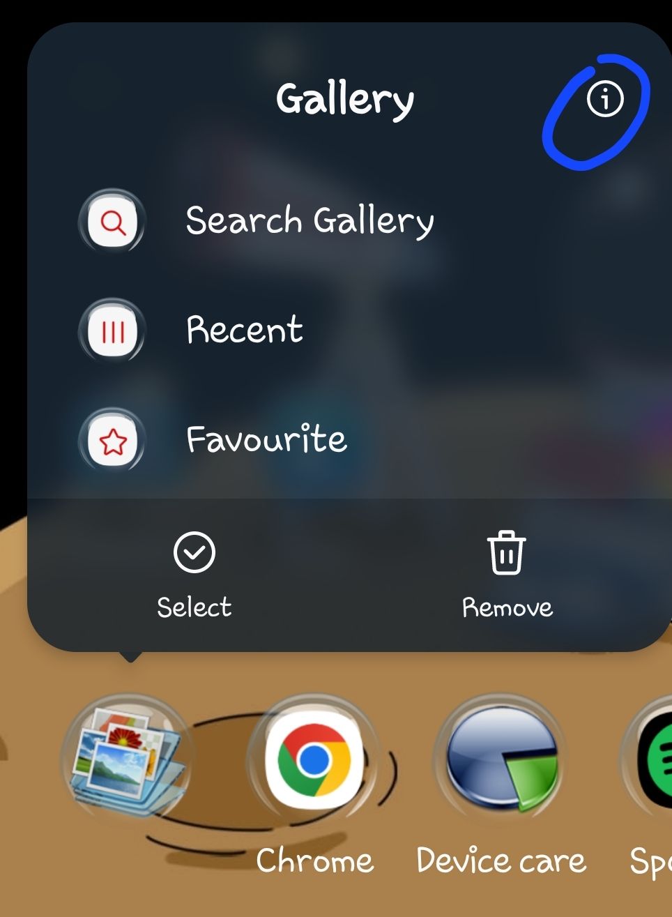 Albums disappeared from Gallery Samsung Members