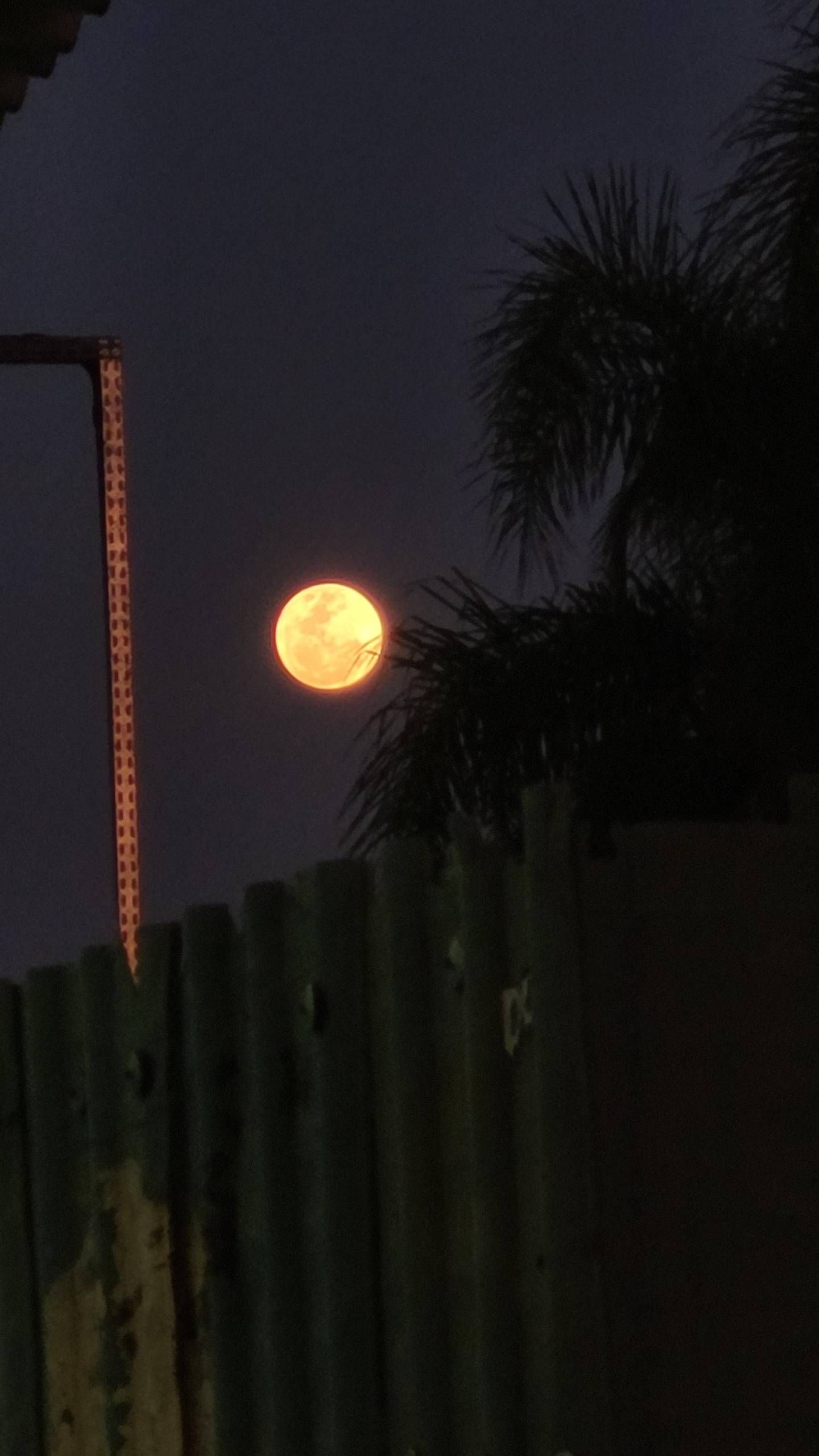 Lua sendo lua - Samsung Members