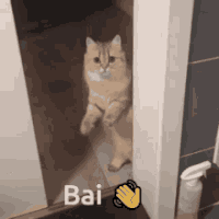 1712460880337.gif