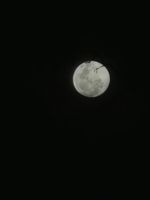 20240422_201538_1000213150_1713827743.jpg