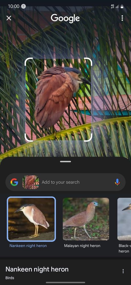 image image
