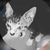 moon_moai