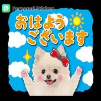 sticker_wa_8bed271f0fc9c14fbade8f36cfae4a0a_1000039010_1717715961.jpg sticker_wa_8bed271f0fc9c14fbade8f36cfae4a0a_1000039010_1717715961.jpg