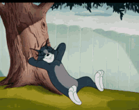 1718380722739.gif