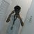 iamarwin