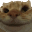 Moderador_Gabriel_0-1720815007429.gif