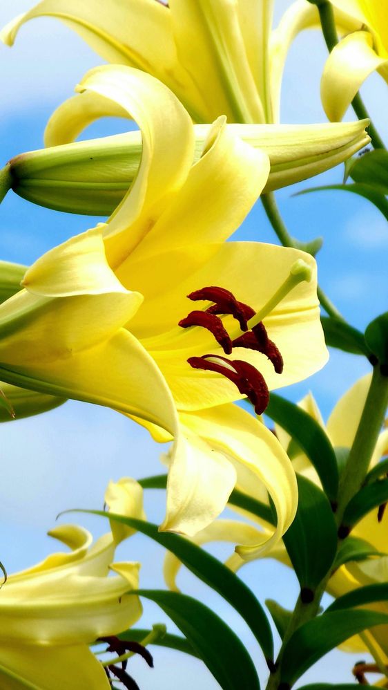 image image