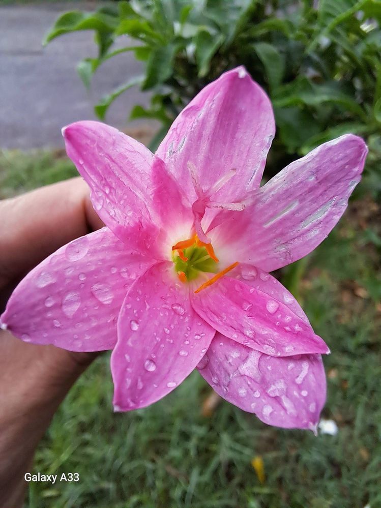 image image