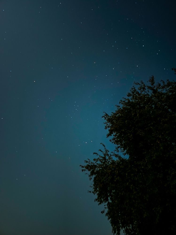 별2.jpg