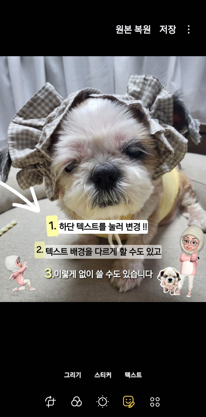 해결됨: 보리와 방구석 휴가 보리사진 텍스트로 꾸며보기!! - Samsung Members, image size:720x1454