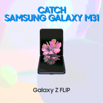 catch-the-galaxyM31.gif