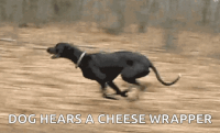 1736427959404.gif