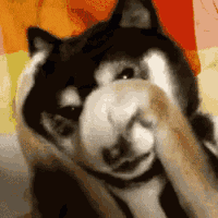 1737673159376.gif