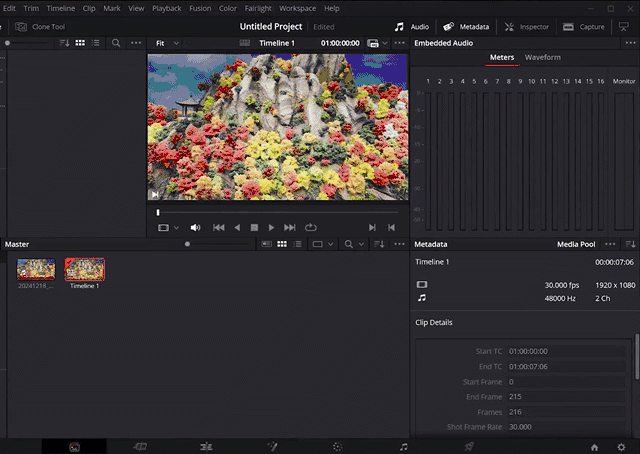 F8_DaVinciResolve.gif