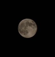 20241017_192436_1000012729_1729207835.jpg