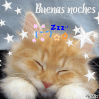 1739058772846.gif