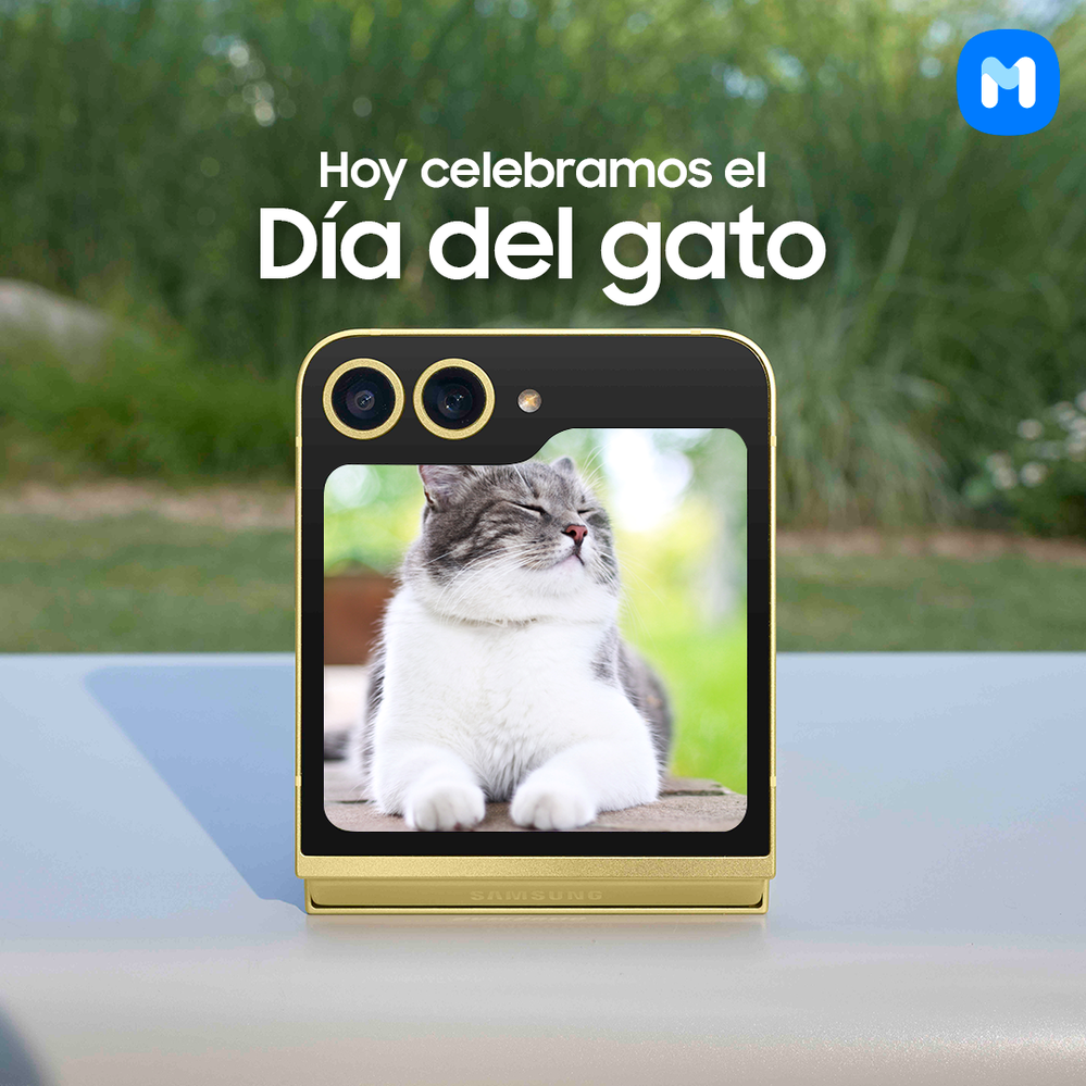 Día del gato week 8.png