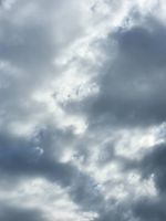 20250222_101245_1000069232_1740229966.jpg