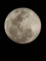 20250313_203824_1000311065_1741912708.jpg 20250313_203824_1000311065_1741912708.jpg