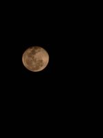 20250315_200516_1000165925_1742090721.jpg 20250315_200516_1000165925_1742090721.jpg