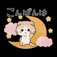 sticker_wa_9fea22804c7b6641075a9f1e6f898b9f_1000010101_1741785654.jpg sticker_wa_9fea22804c7b6641075a9f1e6f898b9f_1000010101_1741785654.jpg