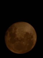 20250315_211125_1000041823_1742083887.jpg